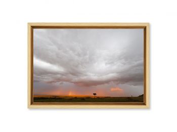 Kenya, Masai Mara, storm at sunset