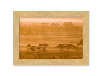 Kenya, zèbres à Amboseli
