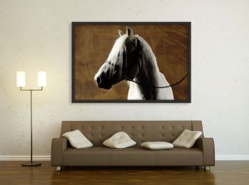 Welsh stallion