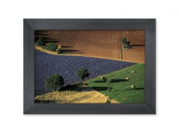 Vaucluse,Landscape of brightly colored fields