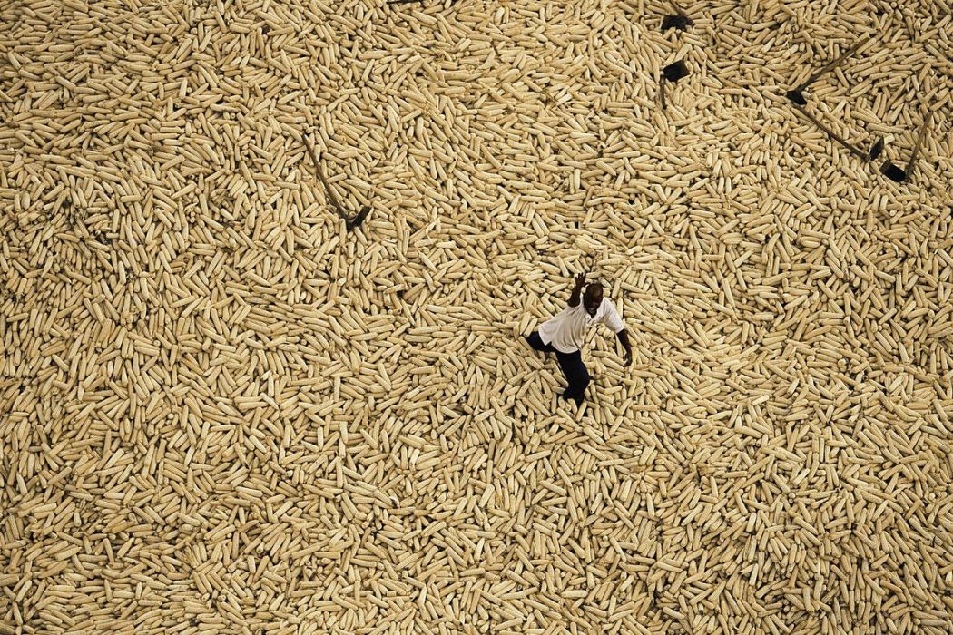 Stockage du maïs, Kenya