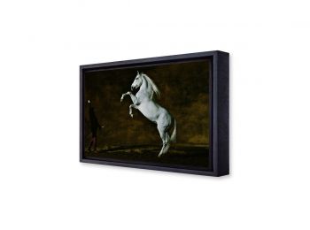 Andalusian horse, Art Photography
