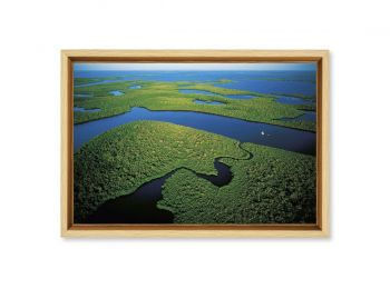 Les Everglades, Floride, Etats-Unis