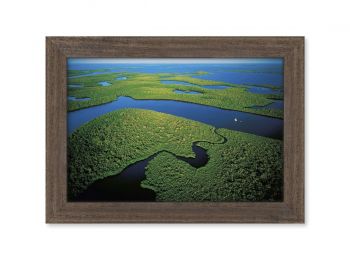 Les Everglades, Floride, Etats-Unis