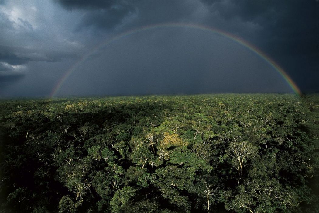 A storm over the Amazon Rainforest, Brazil
