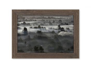 Fog near Angkor, Cambodia