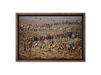Camel caravan, Ethiopia